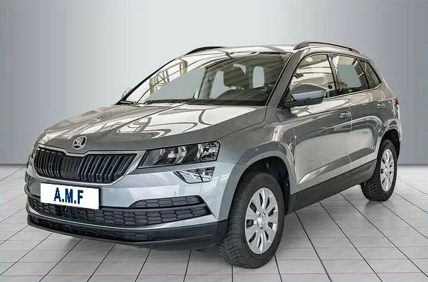 SKODA Karoq 1.0 TSI Executive Image 2